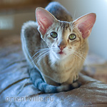 Fiona. 1 year