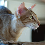 Fiona. 1 year