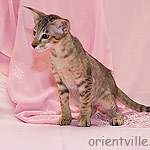 Orientville's Becky Thatcher