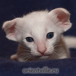Orientville's Dolly Levi