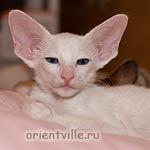 Orientville's Dolly Levi