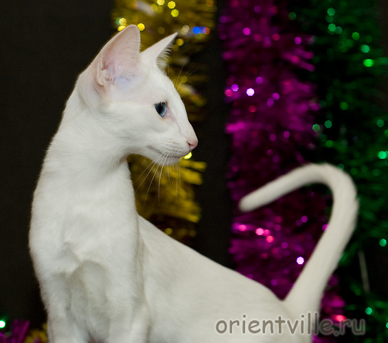 Orientville's Dolly Levi