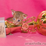 Orientville's Fiona Princess