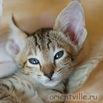 Orientville's Gabrielle