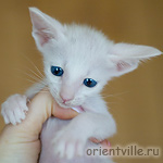 Orientville's Gerda