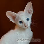 Orientville's Gerda
