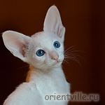 Orientville's Gerda