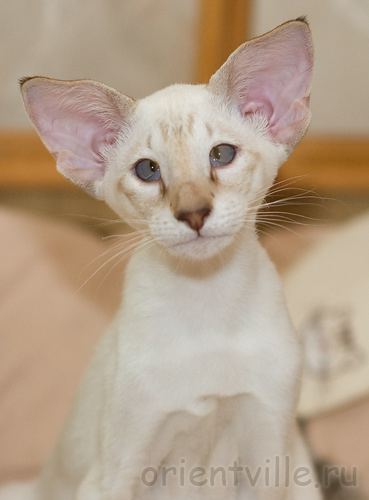 4 month. Frodo