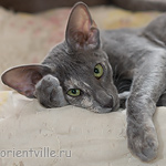 Helen 3,5 месяца