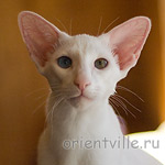 Гайка, 5 месяцев