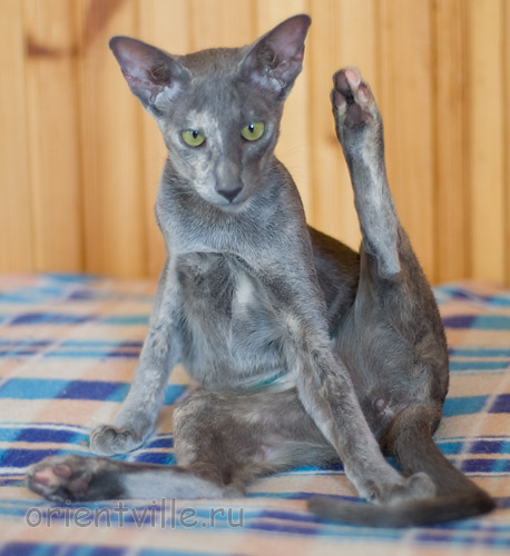 Helen 5 месяцев