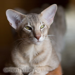 10 месяцев