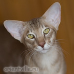 10 месяцев