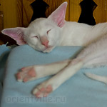 Harty 5 month