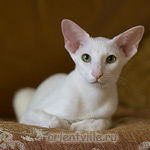 6 месяцев