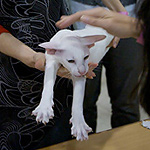 8.5 месяцев