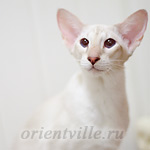 Regina, 11 month