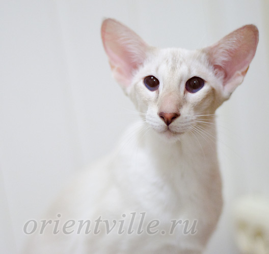 Regina, 11 month